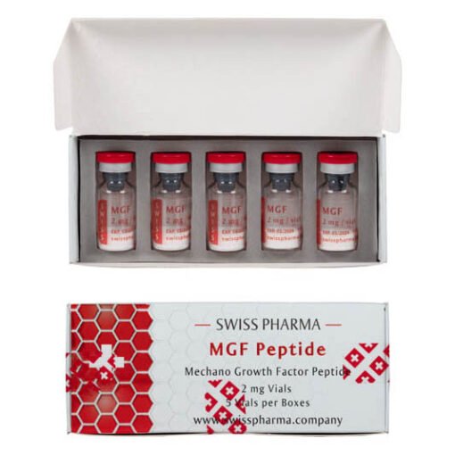 MGF Peptide – Muscle Growth & Recovery | Promote Tissue Repair