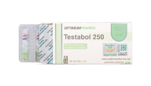 OptimumPharma TESTABOL 250 Testosterone Enanthate 250 Mg/Ml 250 Mg x 10 Ampules